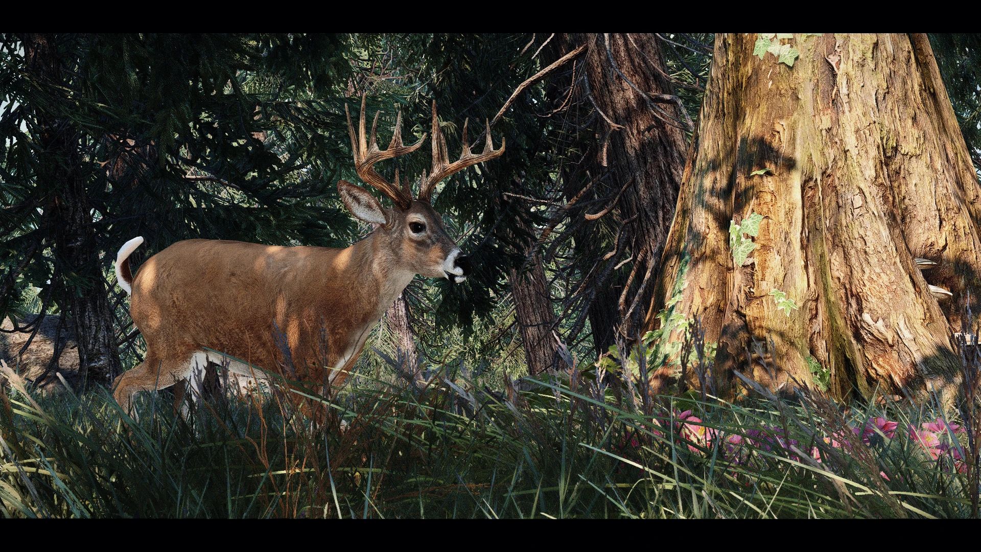 Edmond's Nature Series - DEER mod for The Elder Scrolls V: Skyrim Special Edition