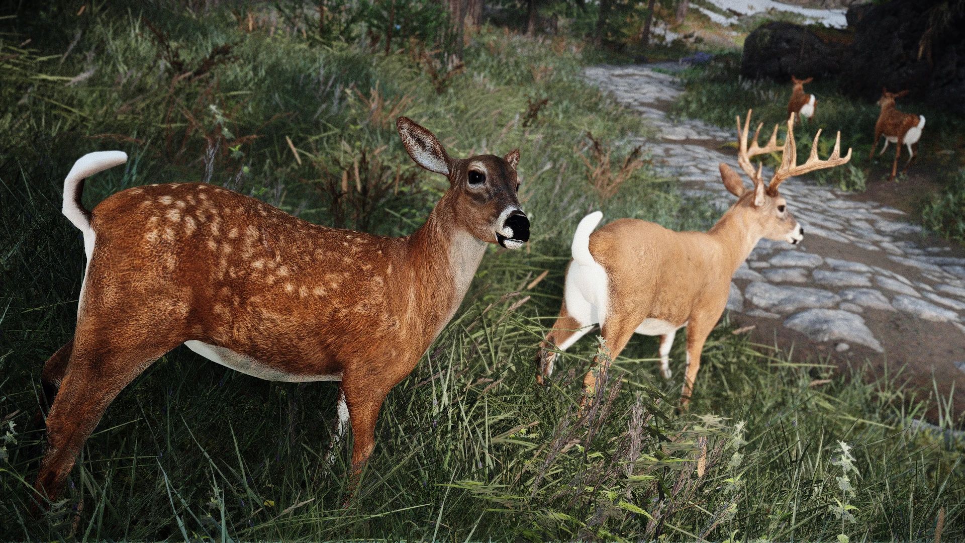 Edmond's Nature Series - DEER mod for The Elder Scrolls V: Skyrim Special Edition