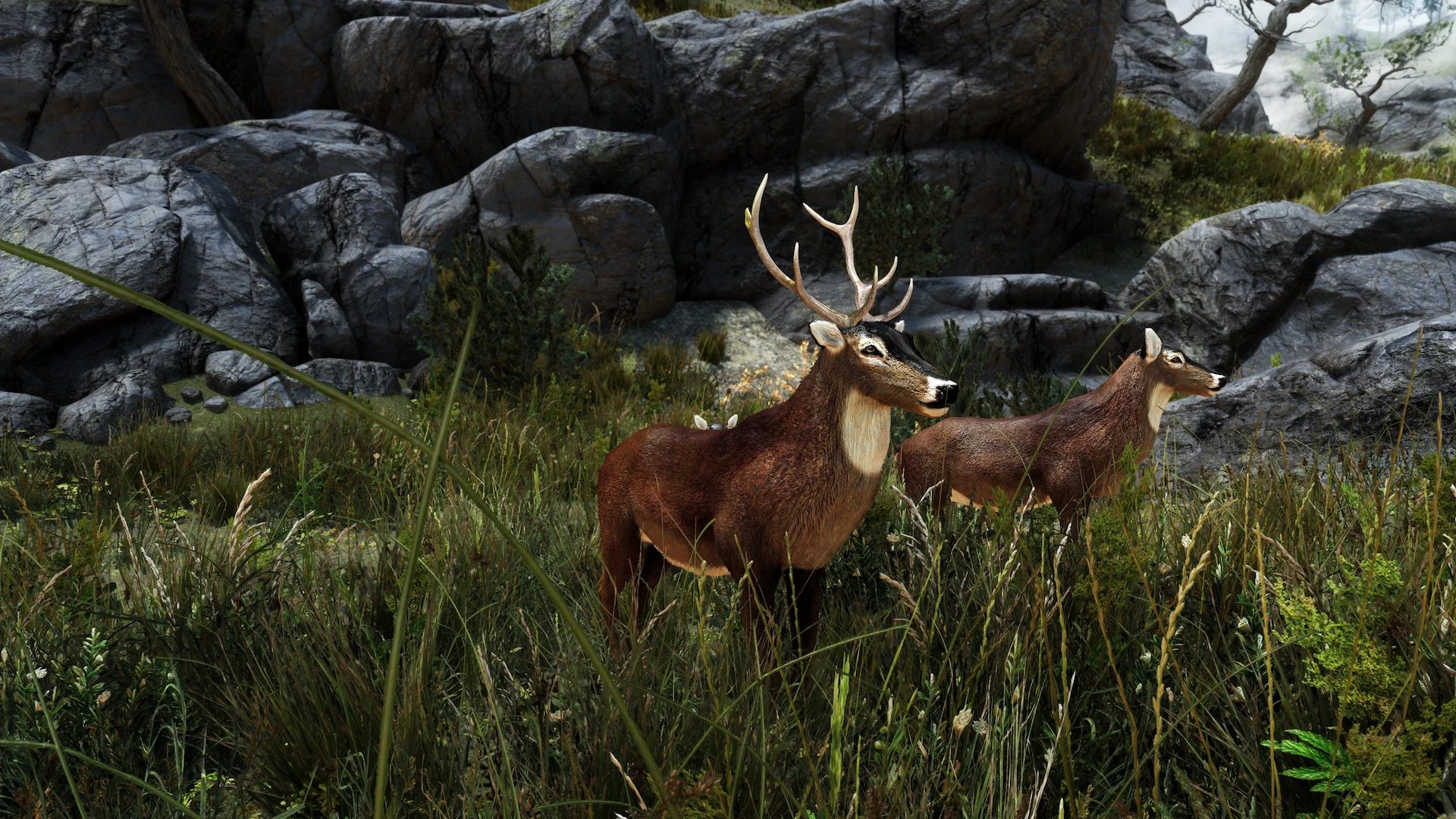 Edmond's Nature Series - DEER mod for The Elder Scrolls V: Skyrim Special Edition