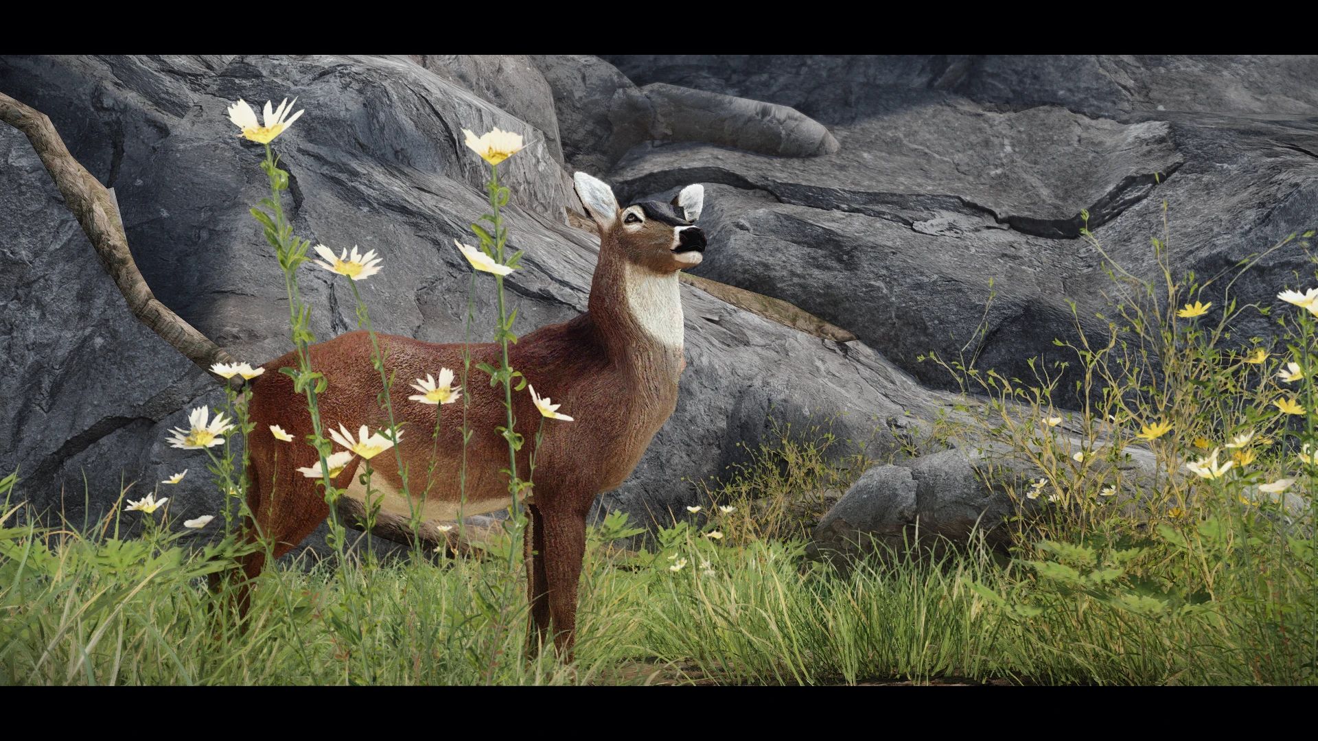 Edmond's Nature Series - DEER mod for The Elder Scrolls V: Skyrim Special Edition