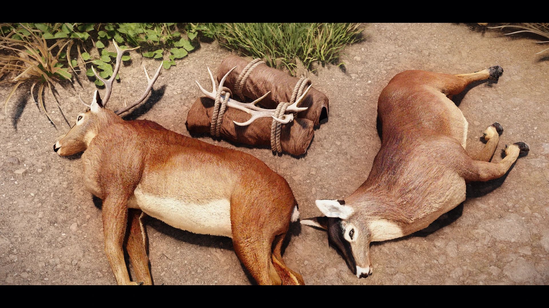 Edmond's Nature Series - DEER mod for The Elder Scrolls V: Skyrim Special Edition