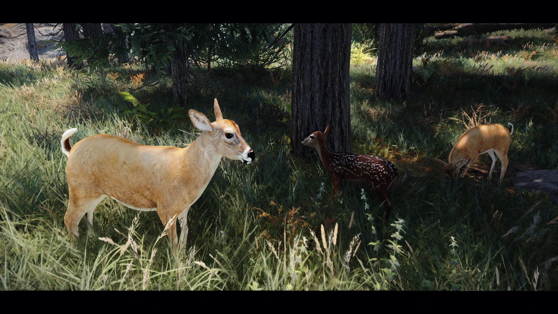 Edmond's Nature Series - DEER mod for The Elder Scrolls V: Skyrim Special Edition