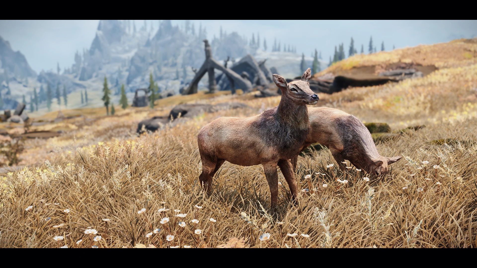 Edmond's Nature Series - DEER mod for The Elder Scrolls V: Skyrim Special Edition