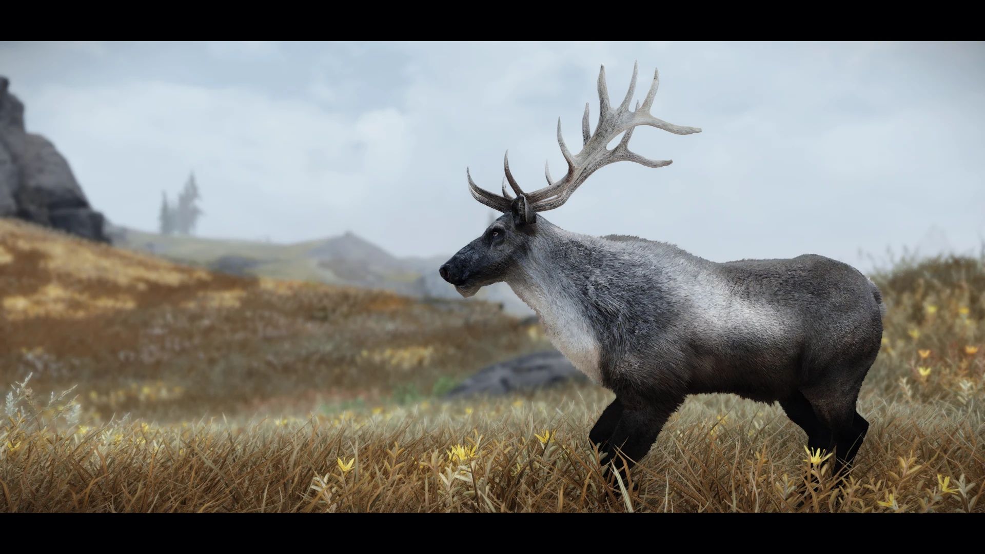 Edmond's Nature Series - DEER mod for The Elder Scrolls V: Skyrim Special Edition