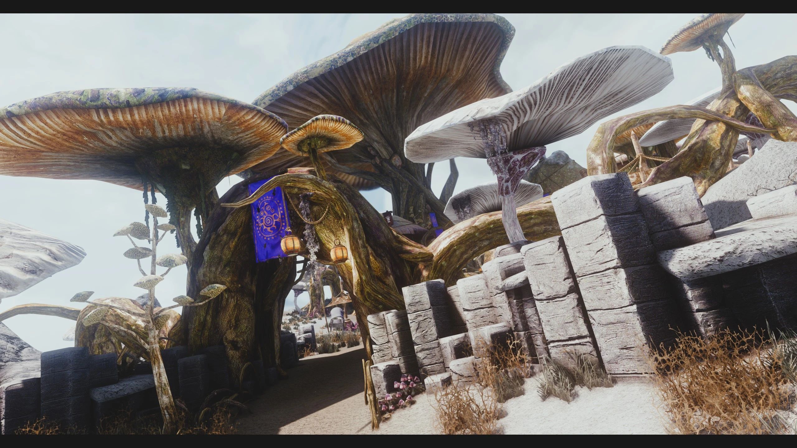 JK's Tel Mithryn mod for The Elder Scrolls V: Skyrim Special Edition