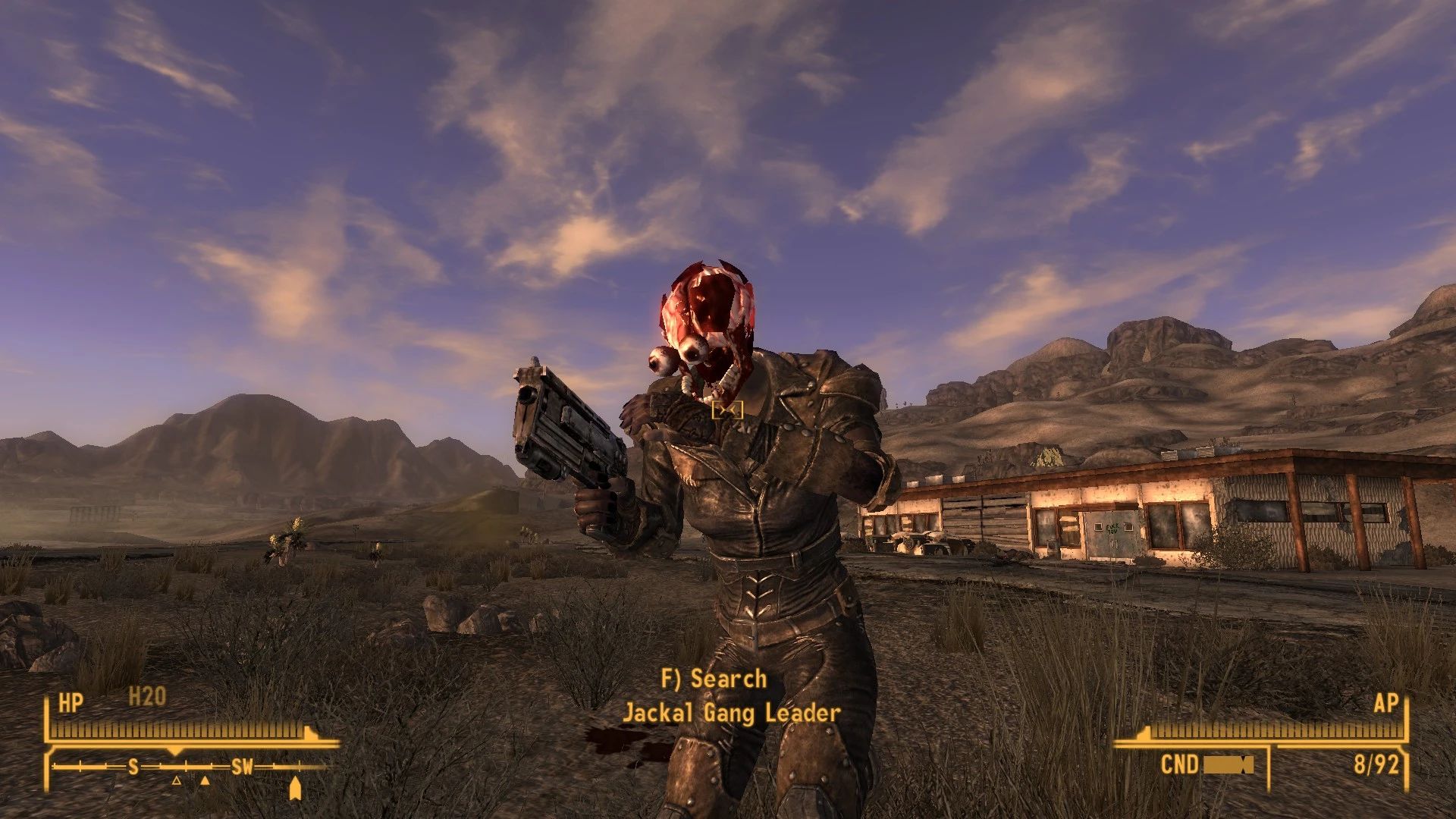 Better Head Bits mod for Fallout: New Vegas