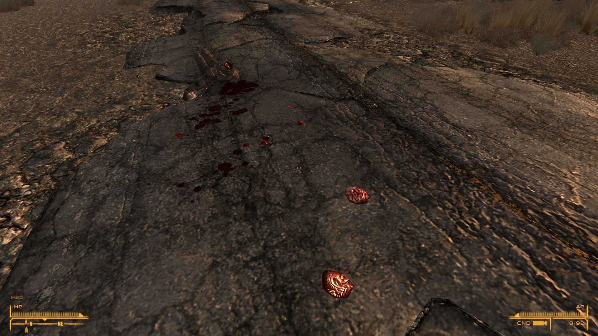 Better Head Bits mod for Fallout: New Vegas