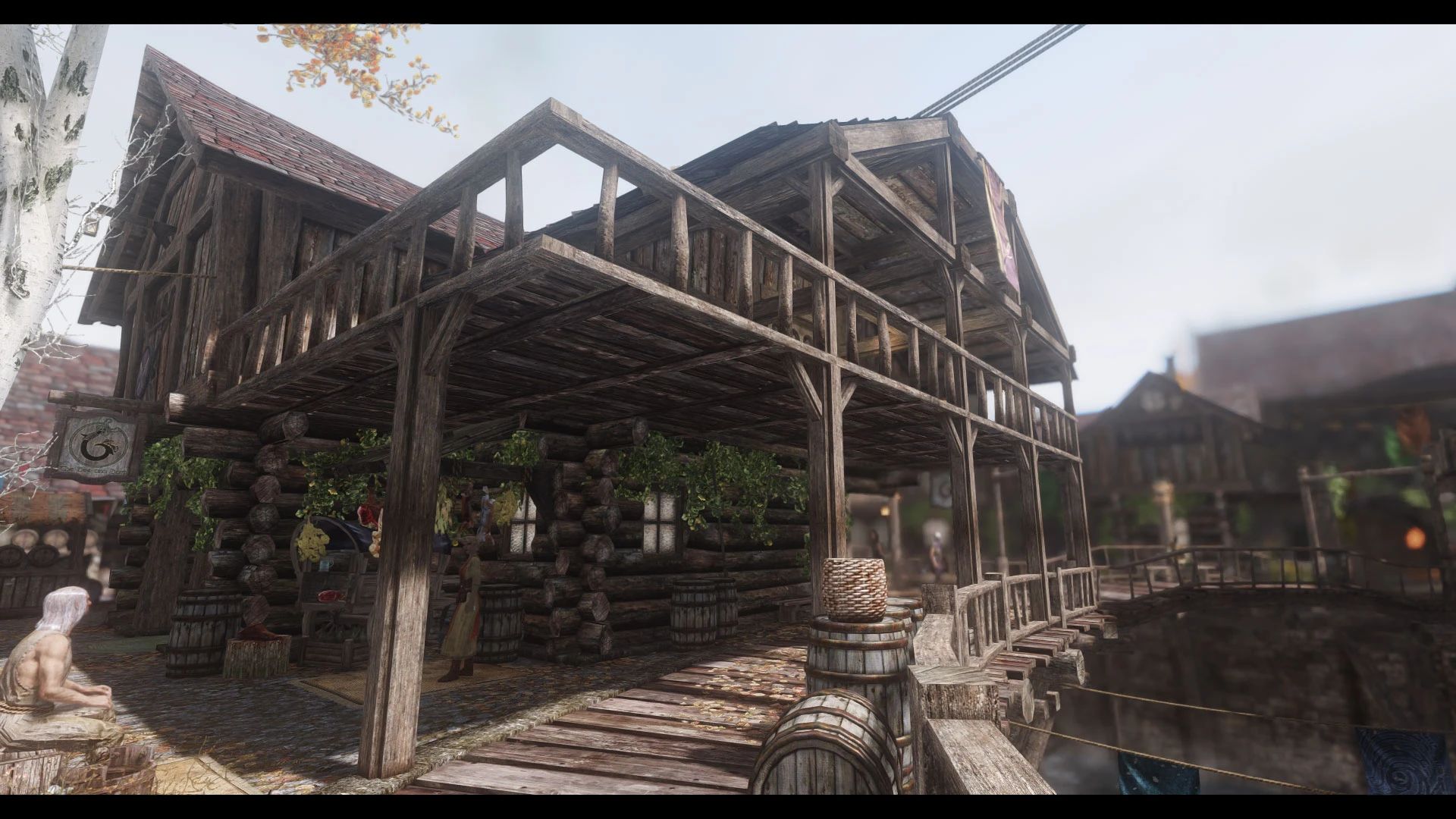 JK's The Bee and Barb mod for The Elder Scrolls V: Skyrim Special Edition