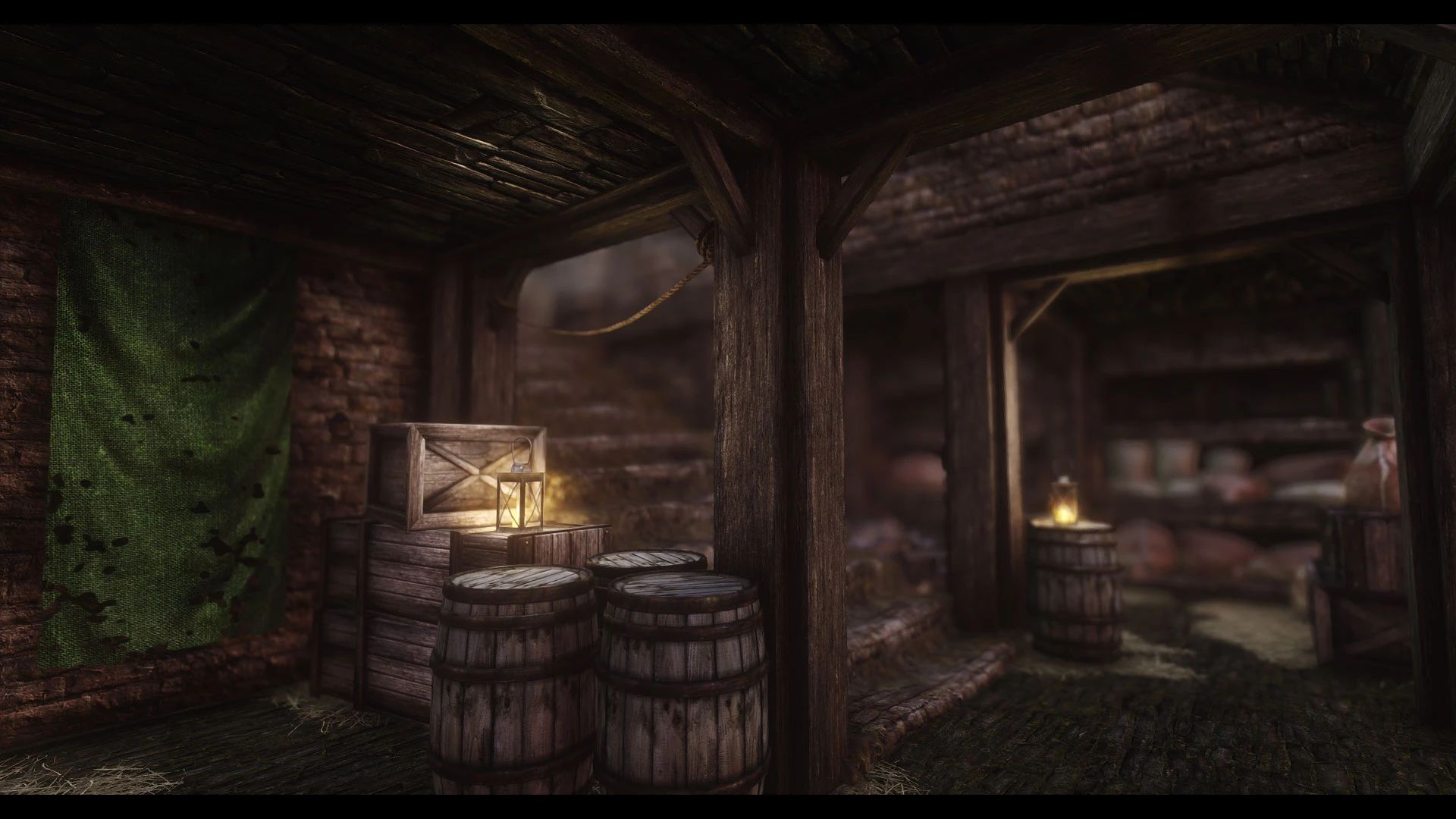 JK's The Bee and Barb mod for The Elder Scrolls V: Skyrim Special Edition