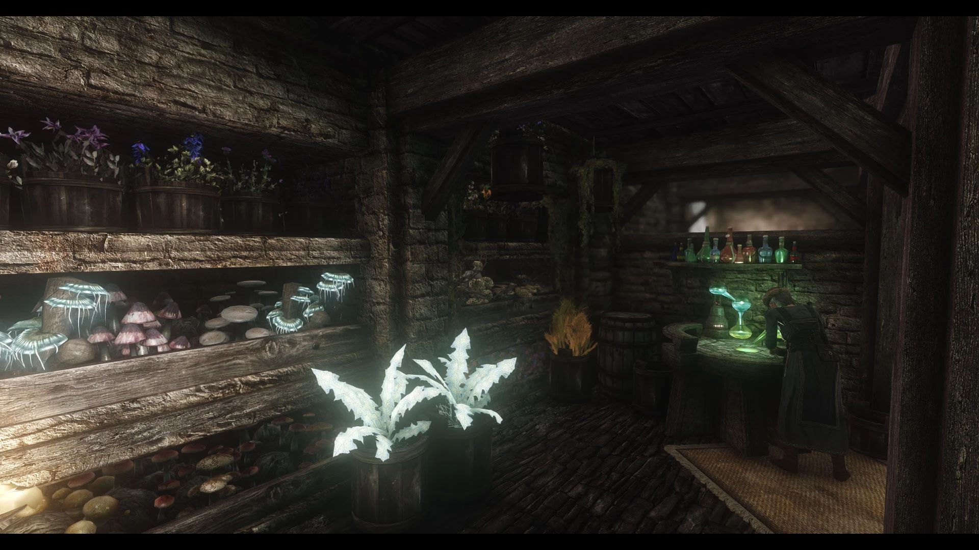 JK's Elgrim's Elixirs mod for The Elder Scrolls V: Skyrim Special Edition