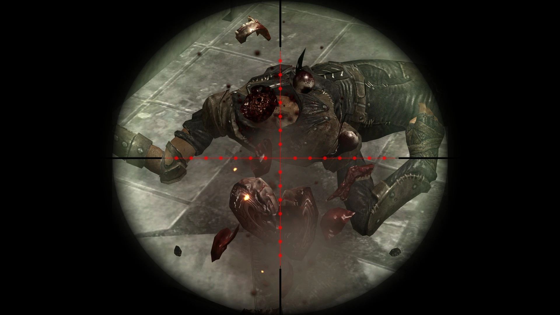 Better Head Bits mod for Fallout: New Vegas