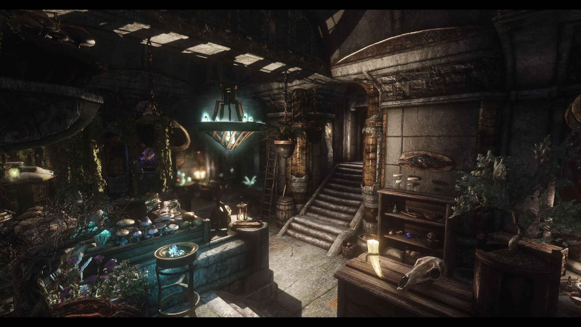 JK's The Hag's Cure mod for The Elder Scrolls V: Skyrim Special Edition