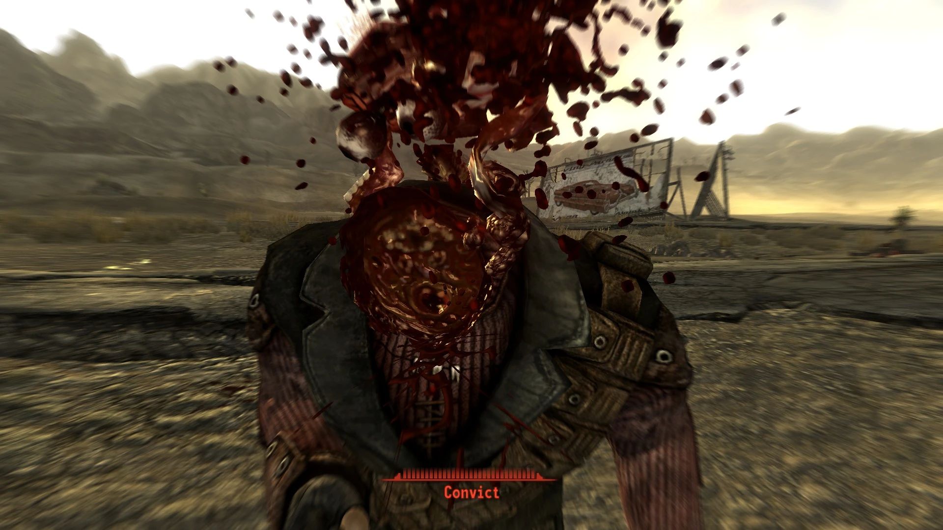 Better Head Bits mod for Fallout: New Vegas