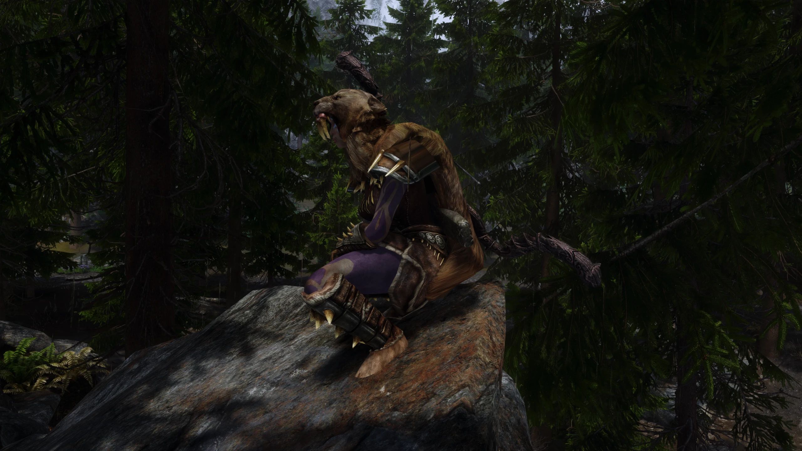 Sabrecat Gear BHUNP and HIMBO SE mod for The Elder Scrolls V: Skyrim Special Edition