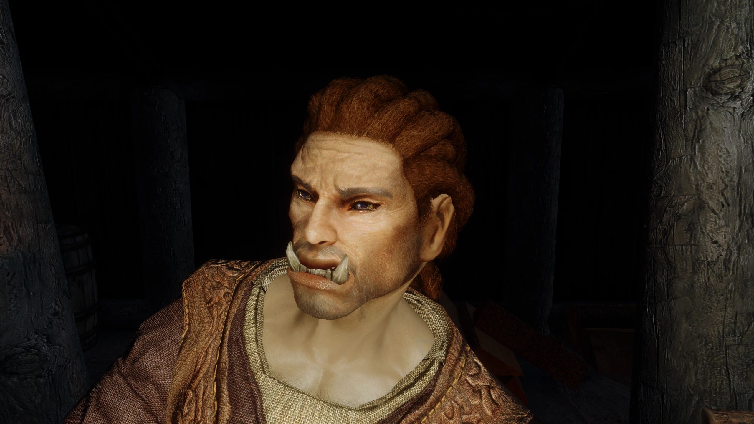Improved Bards - Reborn mod for The Elder Scrolls V: Skyrim Special Edition