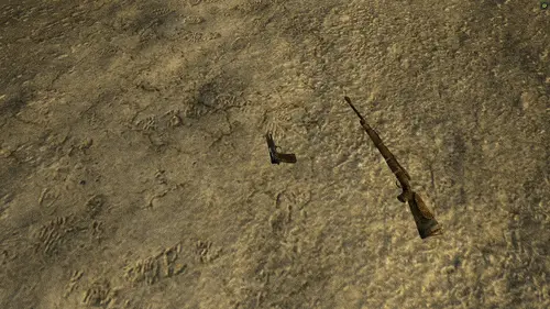 B42 Loot - Animated Physical Item Pickup - ESPless mod for Fallout: New Vegas