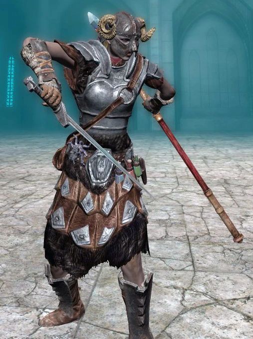 Sheathe of Shields and Staves mod for The Elder Scrolls V: Skyrim Special Edition