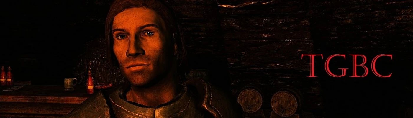 Offical Thieves Guild Bounty Clearer - Audio Remaster LE mod for Skyrim