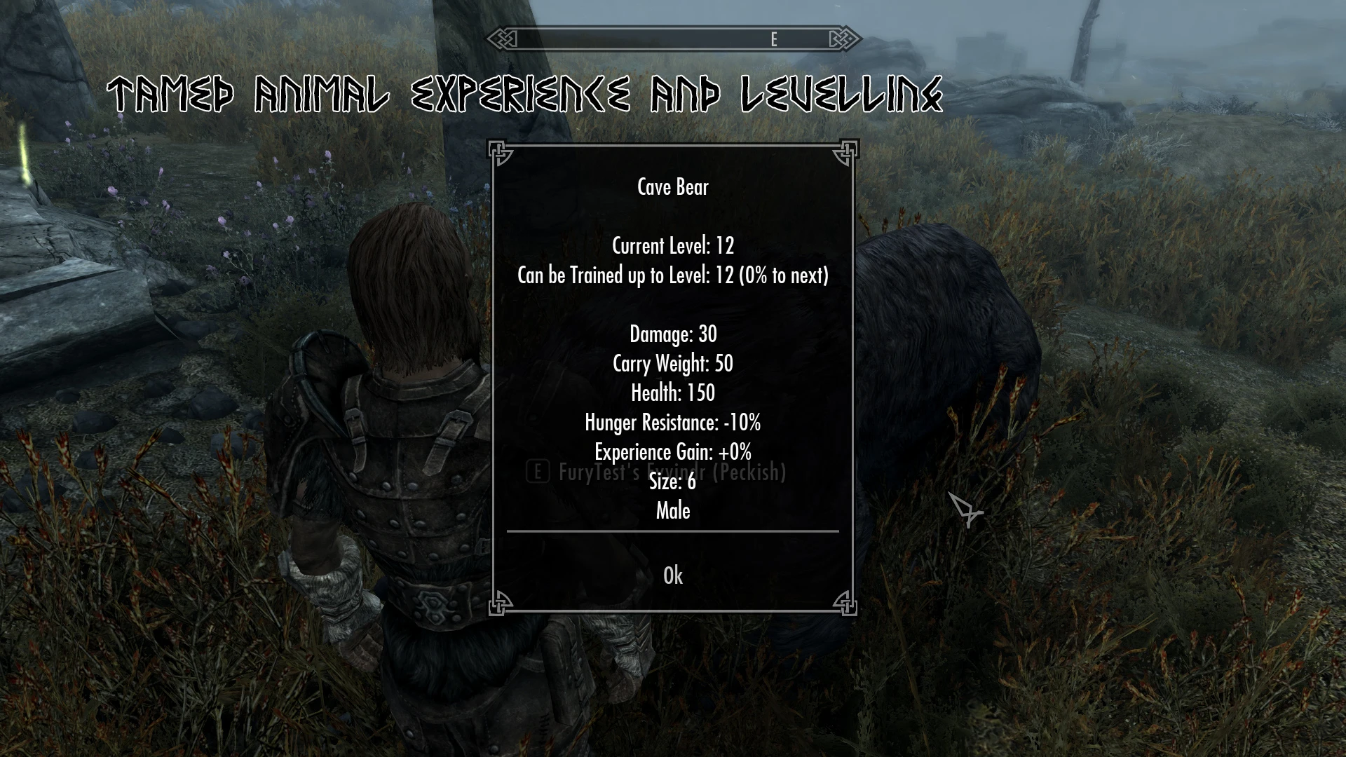 Fury - Animal Taming of Skyrim mod for The Elder Scrolls V: Skyrim Special Edition