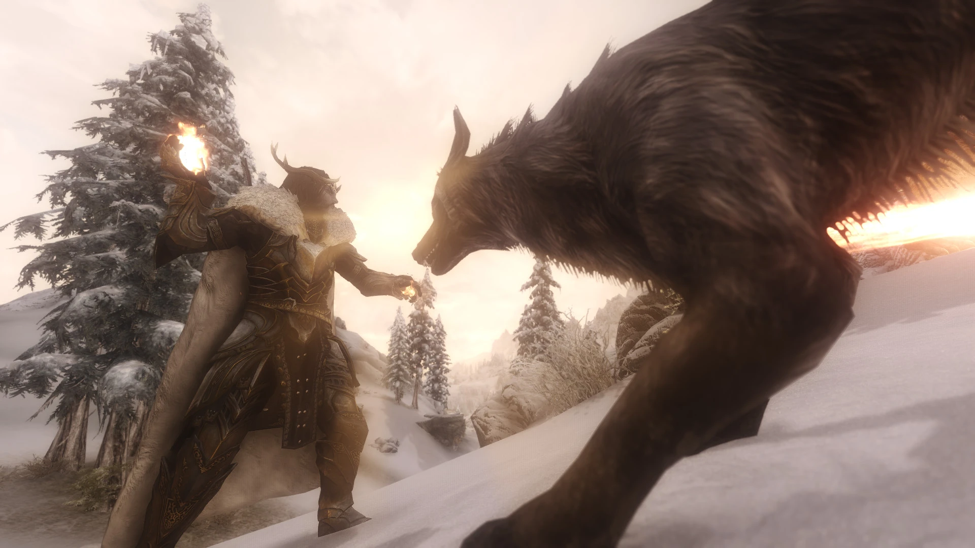 Smilodon - Combat of Skyrim mod for The Elder Scrolls V: Skyrim Special Edition