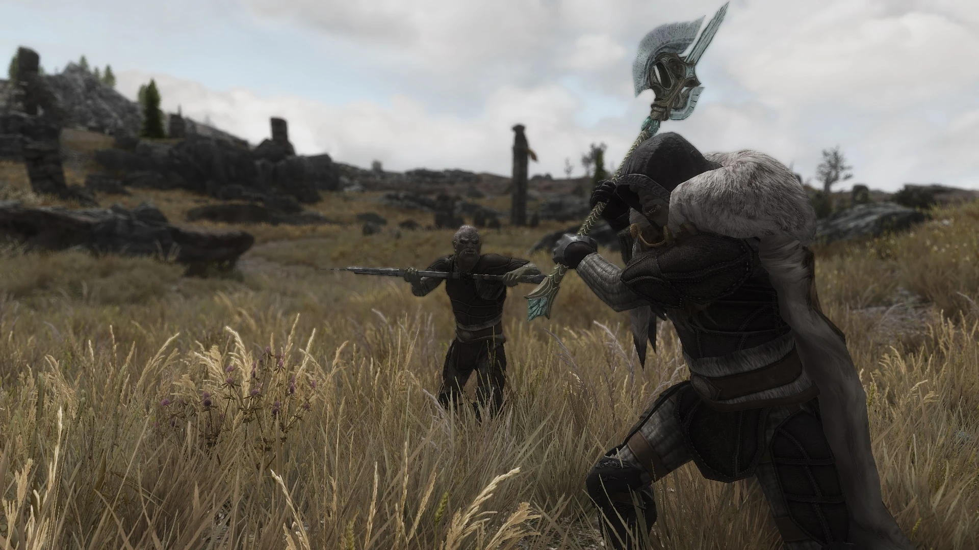 Wildcat - Combat of Skyrim mod for The Elder Scrolls V: Skyrim Special Edition
