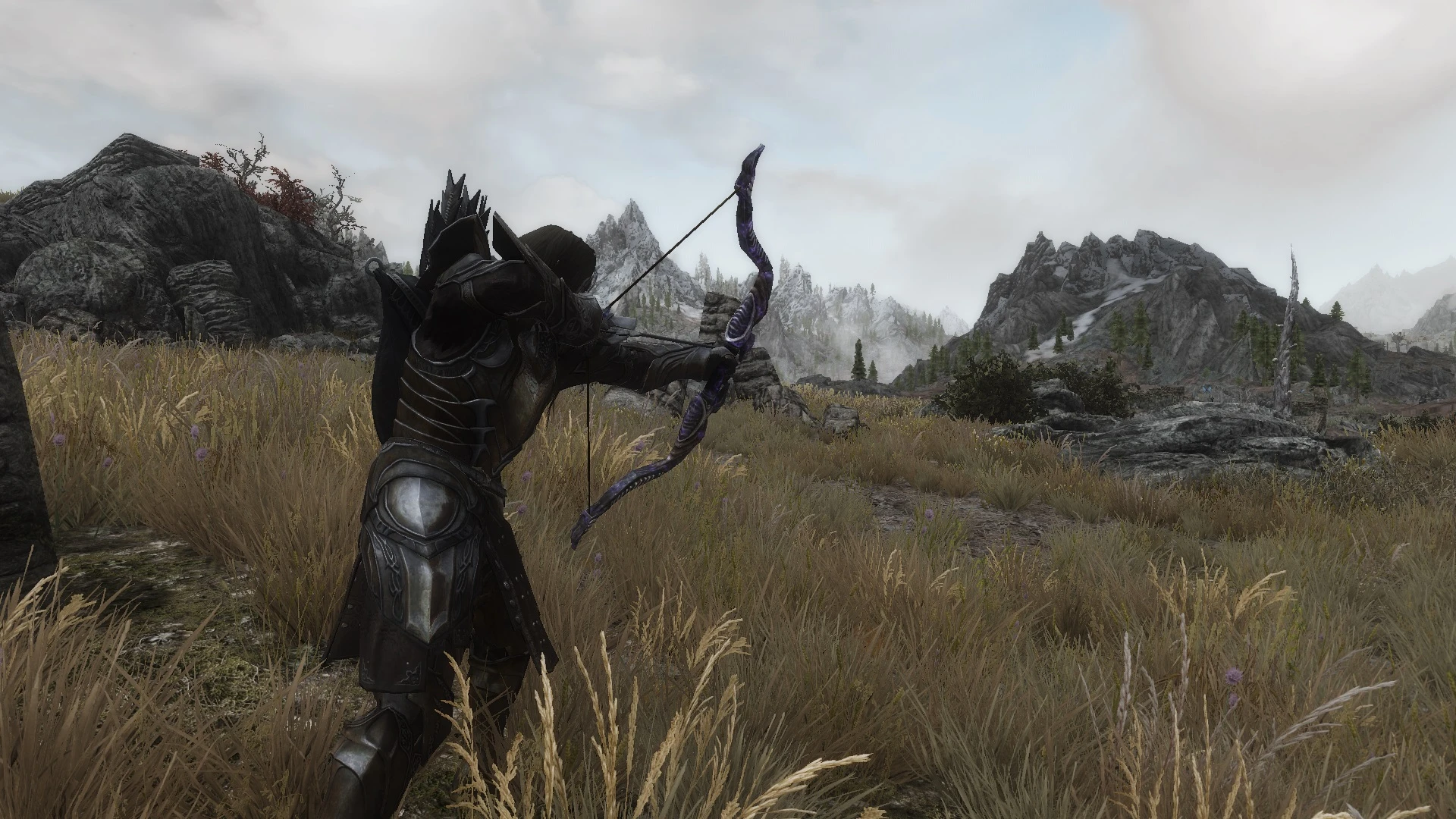 Wildcat - Combat of Skyrim mod for Skyrim