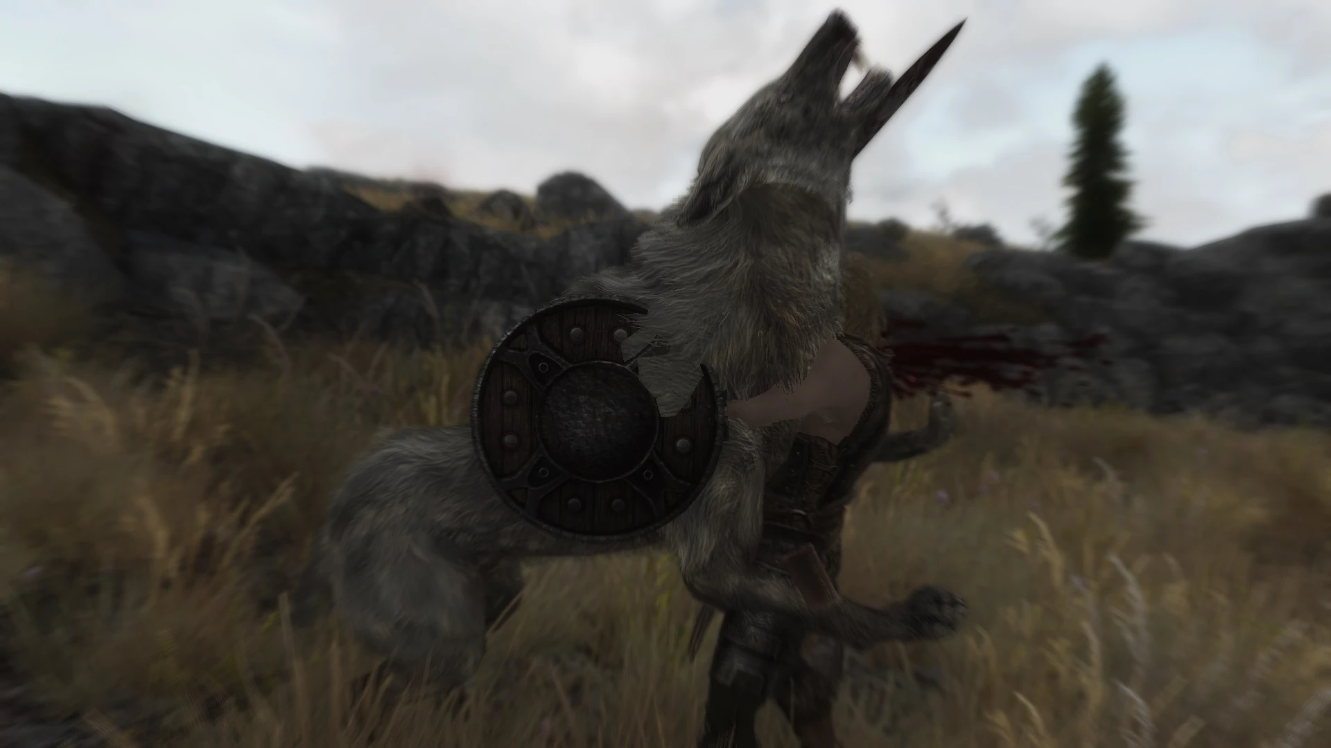 Wildcat - Combat of Skyrim mod for Skyrim