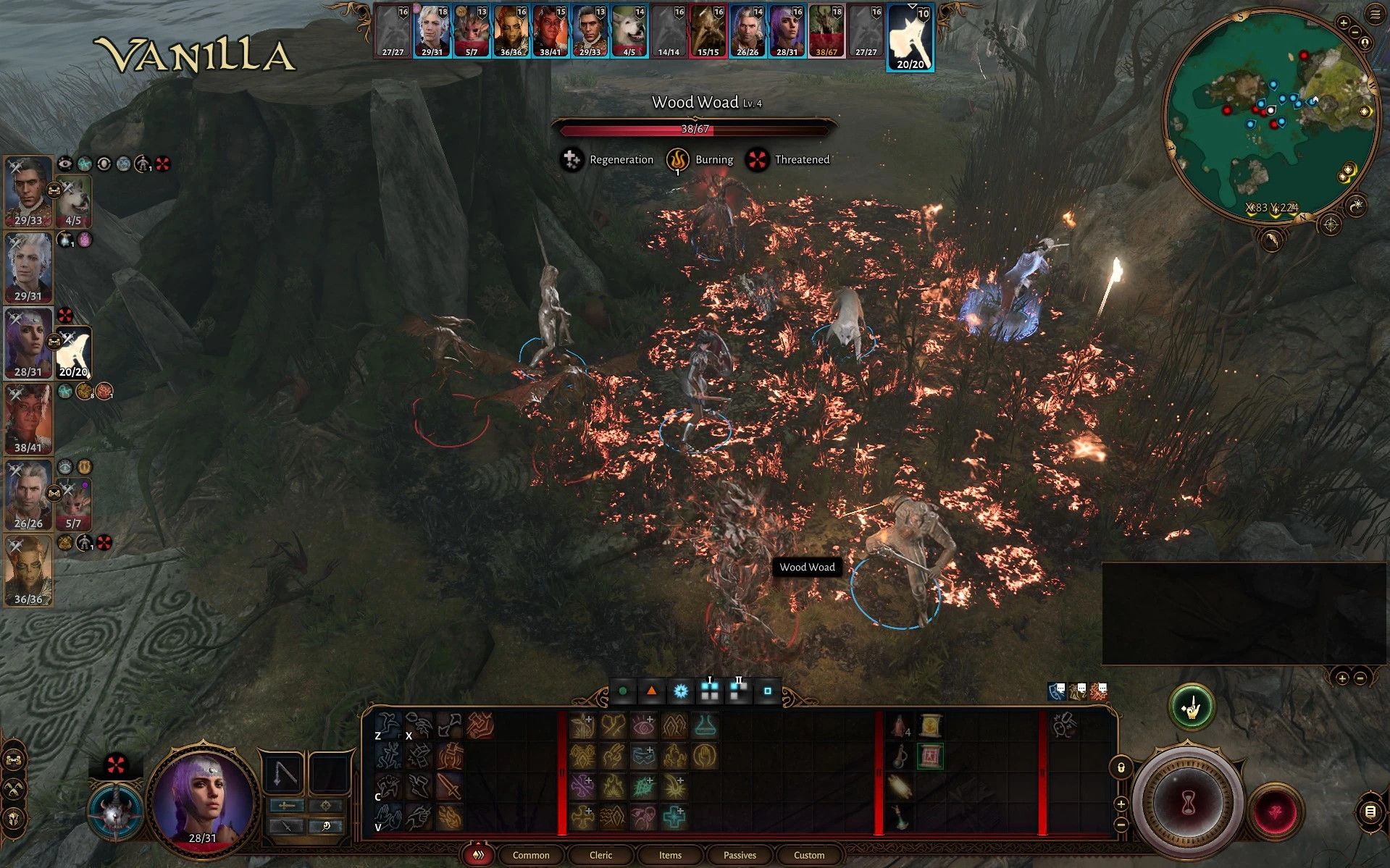 Better Target Info mod for Baldur's Gate 3