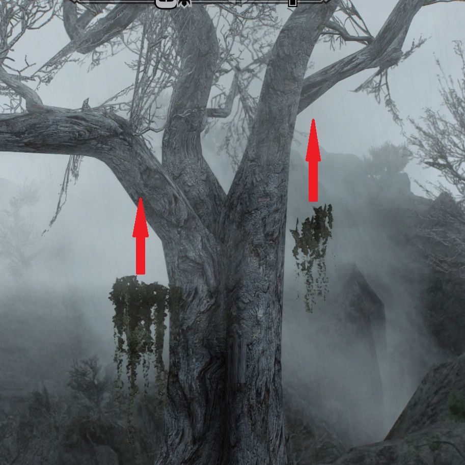 Edmond's Simply Bigger Trees - Floating Tree Moss Fix mod for The Elder Scrolls V: Skyrim Special Edition