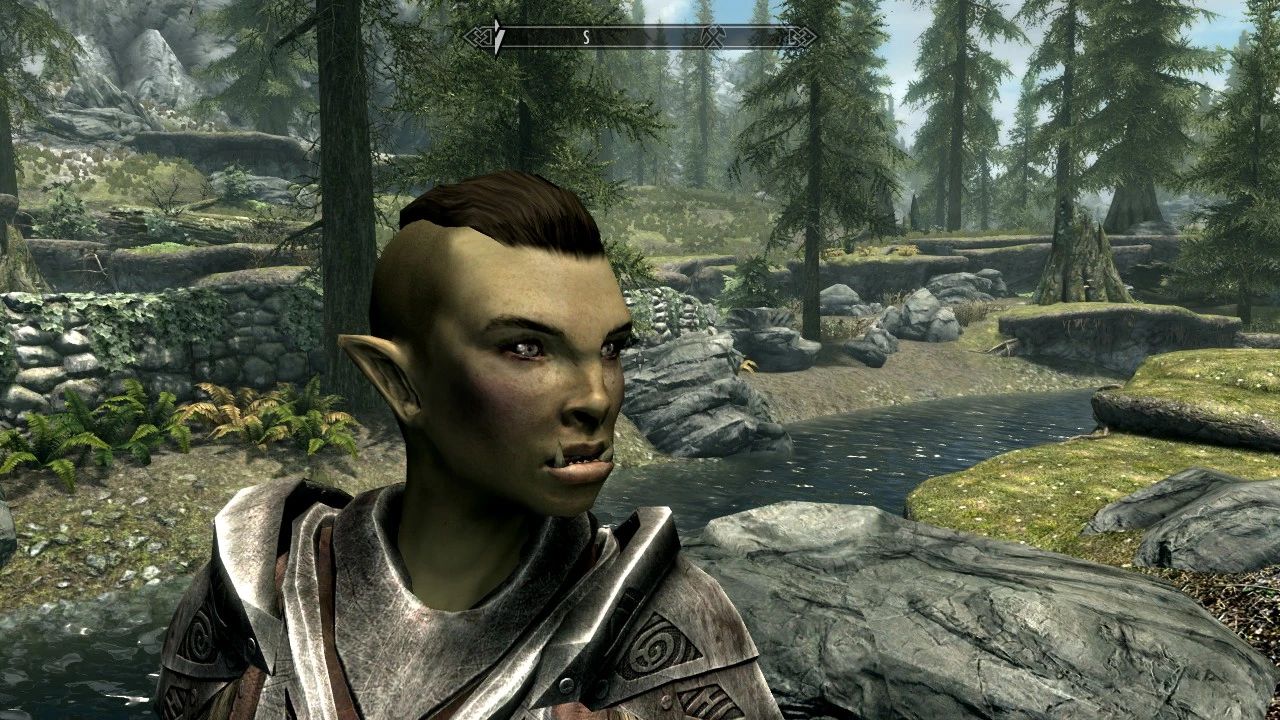 Edmond's Skyrim Immersive Overhaul mod for The Elder Scrolls V: Skyrim Special Edition