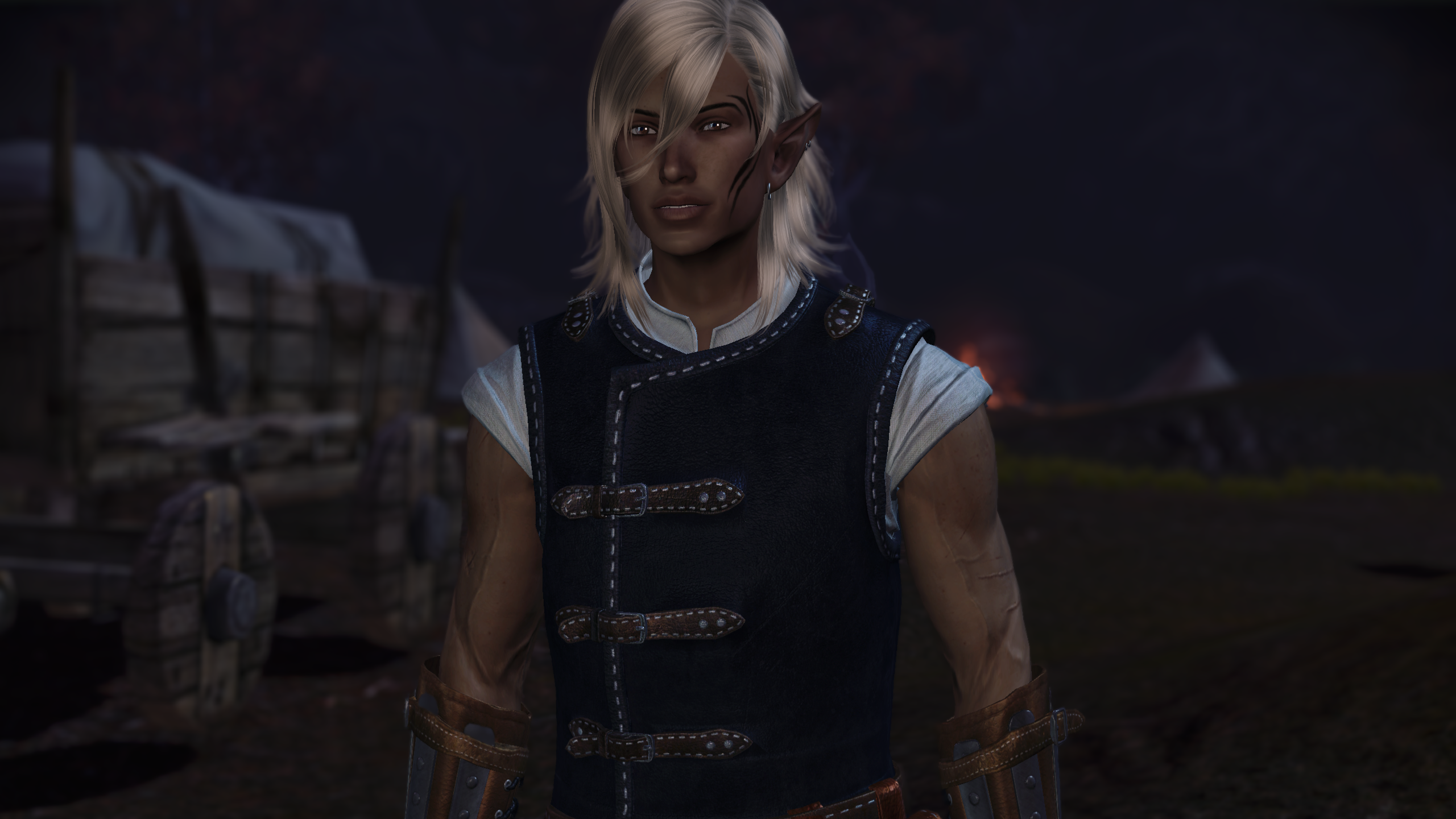 Zevran Nights - A Camp Banter Mod mod for Dragon Age: Origins
