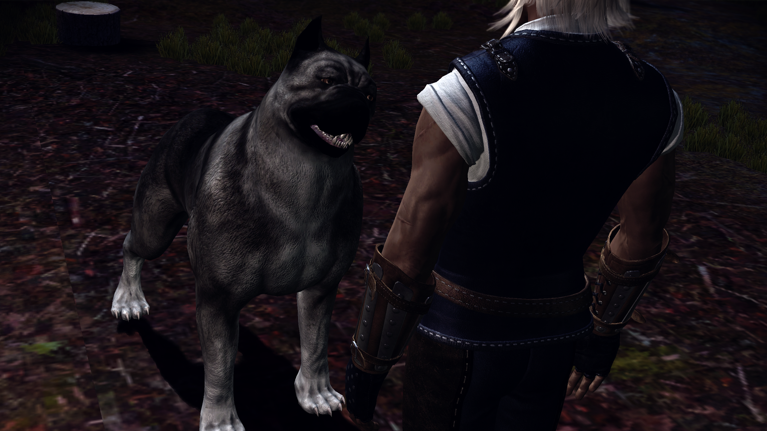 Zevran Nights - A Camp Banter Mod mod for Dragon Age: Origins