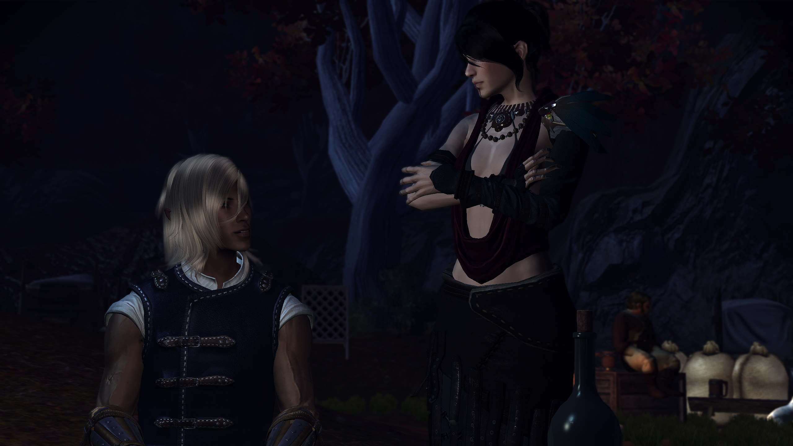 Zevran Nights - A Camp Banter Mod mod for Dragon Age: Origins