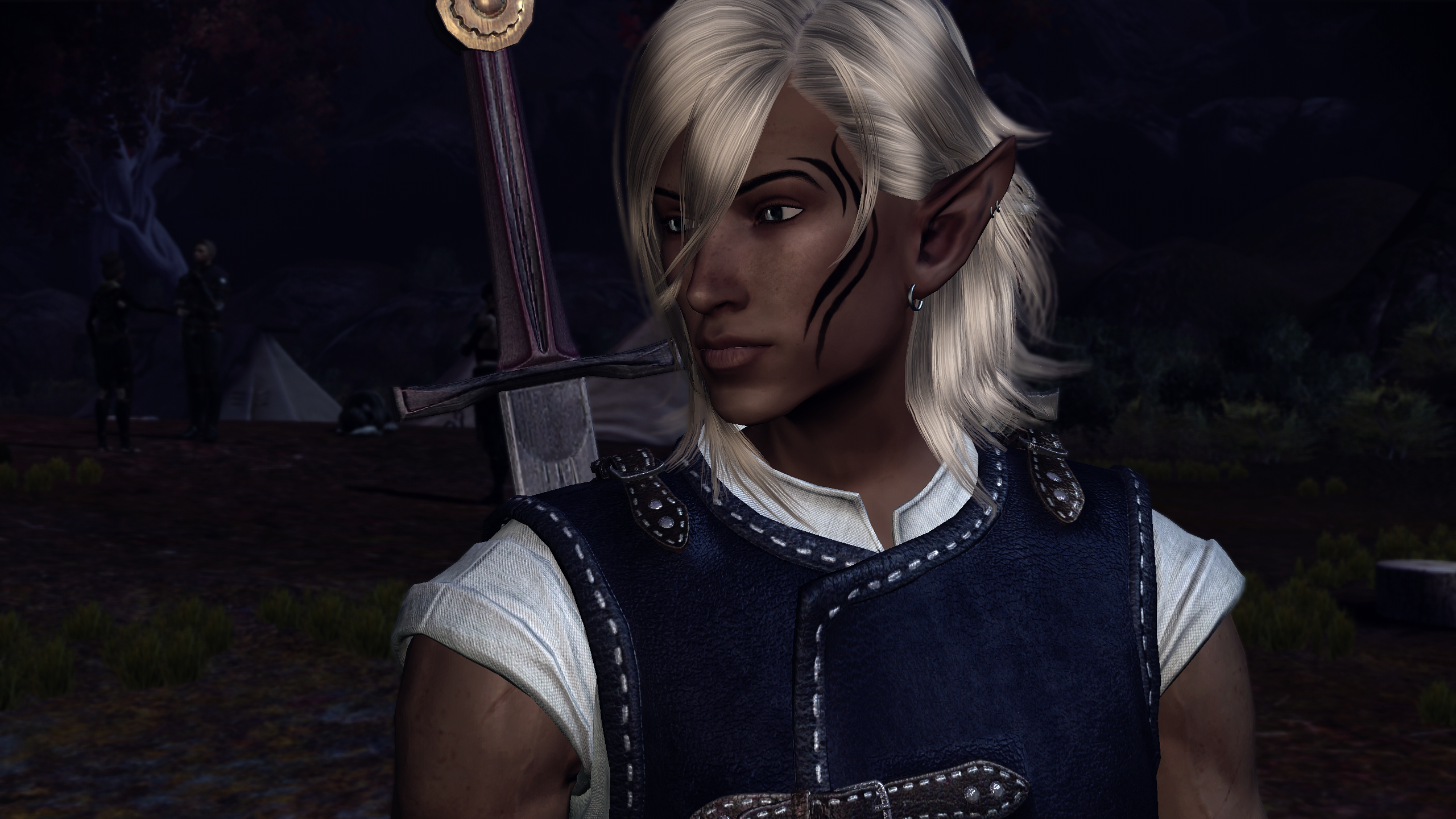 Zevran Nights - A Camp Banter Mod mod for Dragon Age: Origins