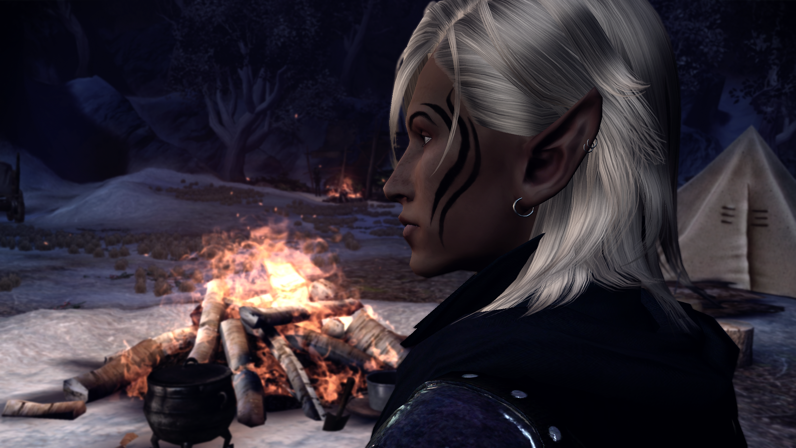 Zevran Nights - A Camp Banter Mod mod for Dragon Age: Origins