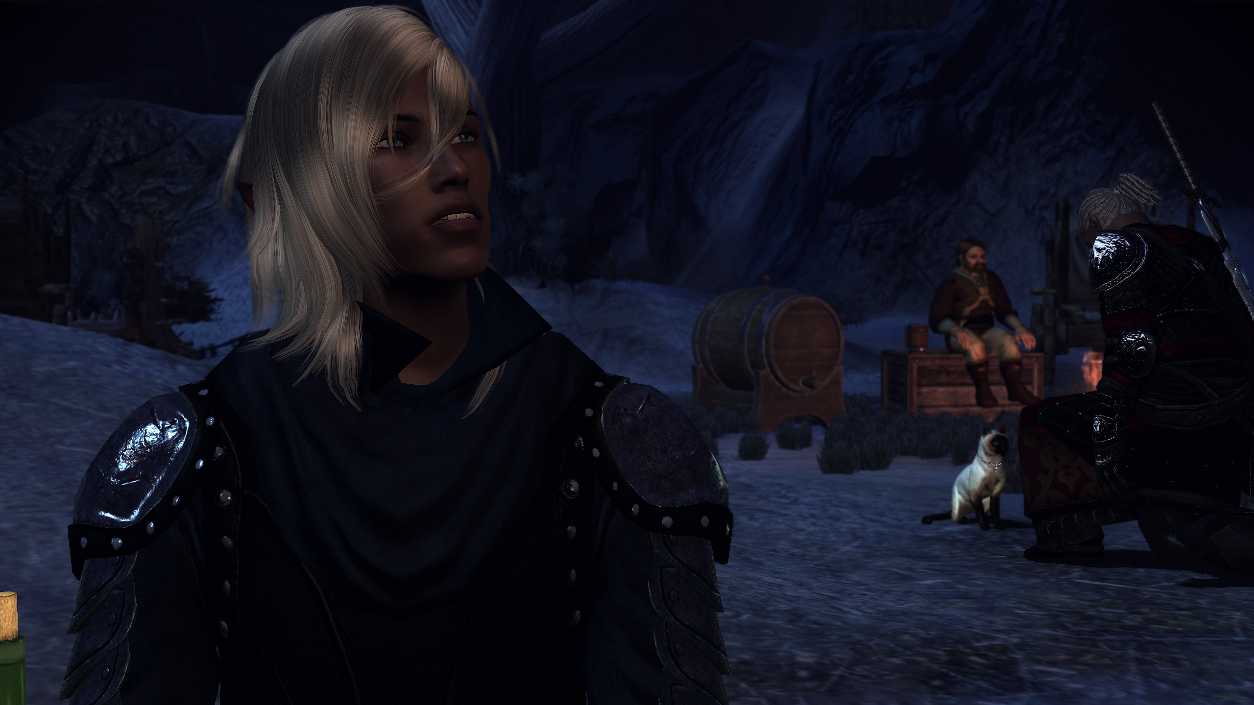 Zevran Nights - A Camp Banter Mod mod for Dragon Age: Origins